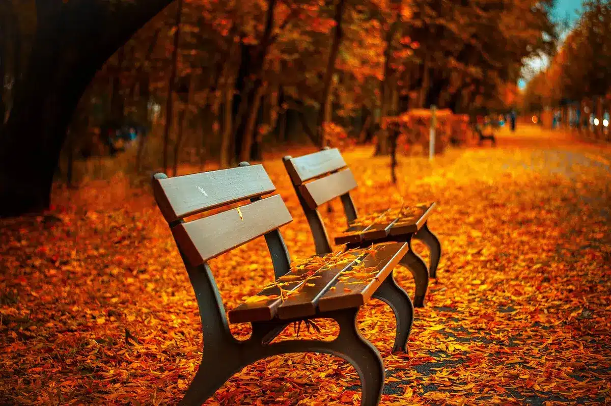 Ehemalige Brachfläche mit neuen Wegen und Grünflächen