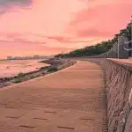 Featured image placeholder 16:9