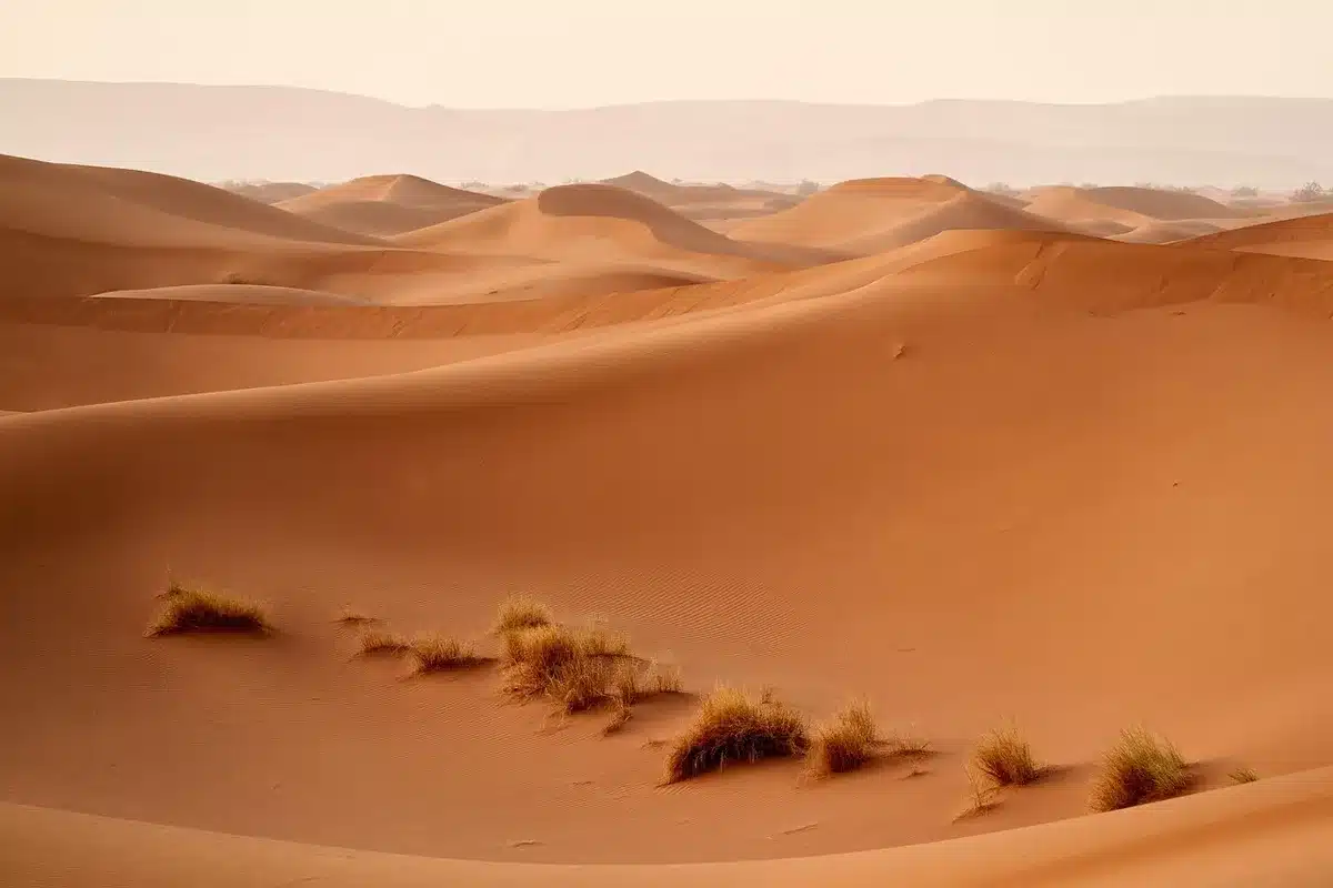 Regisseur auf einem abgelegenen Landschaftsset, Blick zur Natur