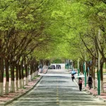 Featured image placeholder 16:9